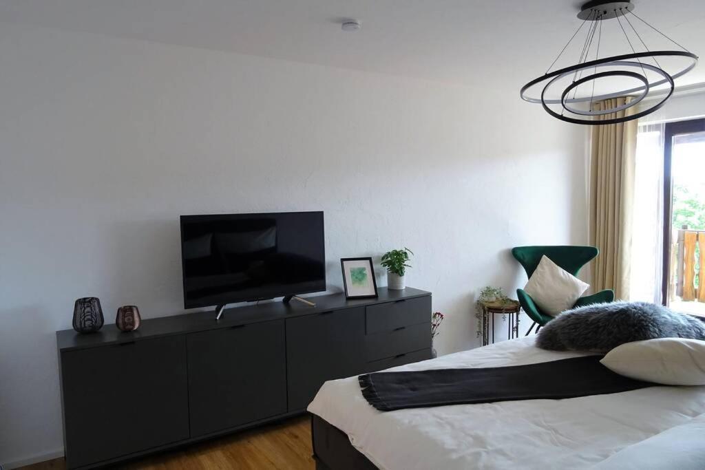 Modernes Apartment Mit Traumhaftem Blick Ins Gruene Bräunlingen Εξωτερικό φωτογραφία